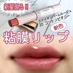 値下げ！キャンメイク　ステイオンバームルージュ　20番　　プチプラ　コスメ　リップ　口紅　グロス　イエベ　ブルベ　化粧品の画像