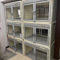 お話中】ボンビアルコンニューペットマンション (UNO) 守山の