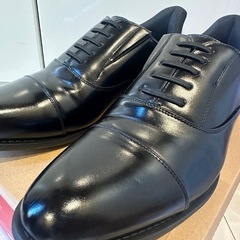 セダークレスト　26.5 CEDAR　CRESTの画像