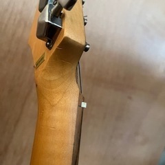 Photogenic エレキギターの画像