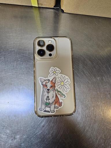 iPhone13pro本隊 美品 SIMフリー 付属品多数