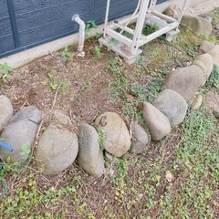 庭石