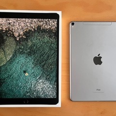 iPad Pro 256GB 10.5インチ Wifi+Cellularモデル