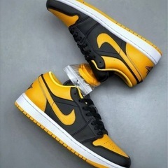 NIKE エアージョーダン29センチ