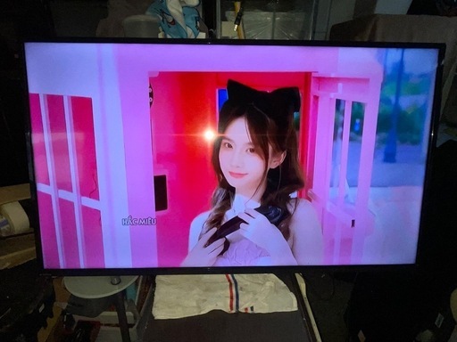 液晶テレビ 50インチ　2019年