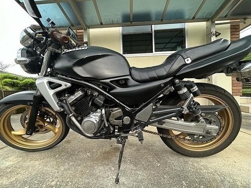 バリオス　二型