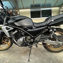 バリオス　二型