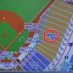 カープ野球チケット2枚　16列　9/21 14:00-の画像