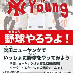軟式少年野球　吹田ニューヤング新メンバー募集！(小学1～6年生)の画像