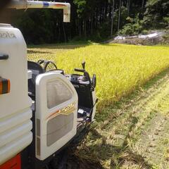 【受け付け一時中止】令和6年産　夢しずく　新米　30kg 佐賀県...