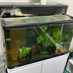 GEX　６０センチレギュラー水槽　上部フィルターセット　