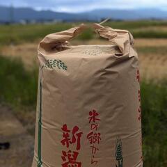  完売‼ ① 令和６年産  新米  ミルキークイーン  新潟県阿...