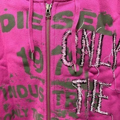 DIESEL ジップアップパーカー メンズの画像