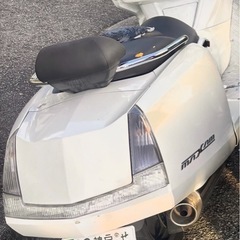 マグサム販売
