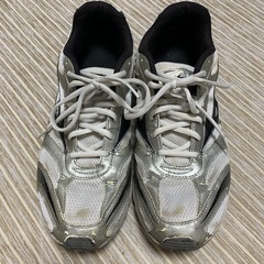 ミズノシューズの画像