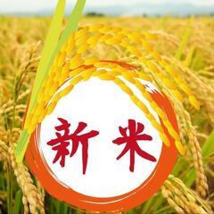 🌾令和6年度🌾精米済み🌟5キロ🌟