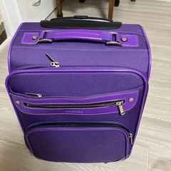 キャリーバック