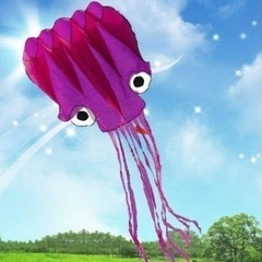 タコの凧、海賊船凧