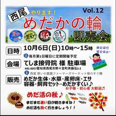 めだかイベント メダカイベント めだか販売会 メダカ販売会 めだかの輪