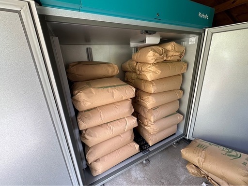 ※商談中※キヌヒカリ令和6年度新米　玄米30キロ