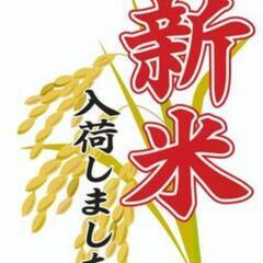 🌾令和6年度🌾精米済み🌟10キロ🌟