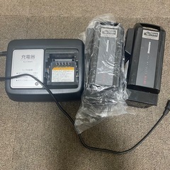 ブリヂストン　ハイディー2 バッテリー　未使用、可動品、充電器　セット