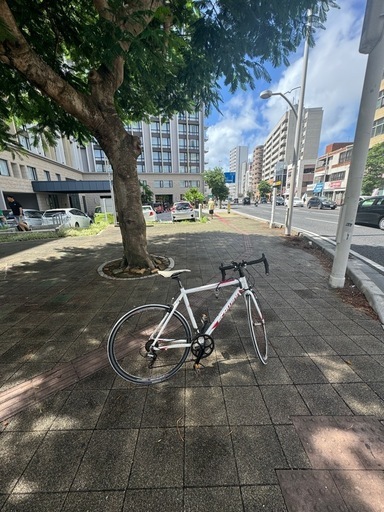 ロードバイク
 schwinn