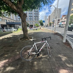 ロードバイク
 schwinn 