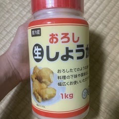 おろしショウガ
