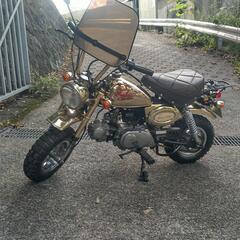 ゴールドモンキー