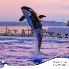 11/16(土)神戸須磨シーワールド🐬