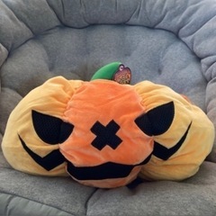 かぼちゃ🎃クッション