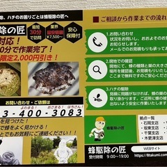 【君津市支店】蜂の巣駆除￥9,000~ - 害虫/害獣駆除