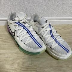 Nike Lebron 17 26.5cmの画像