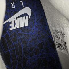 Nike Lebron 17 26.5cmの画像