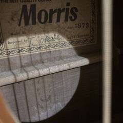 モーリス Morris アコースティック・ギター ジャパン ビンテージ 弦楽器 型番 不明 アコギ 1973の画像