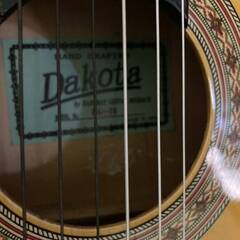 クラッシック ギター アコースティック DAKOTA ダコタ BC.70 弦楽器の画像
