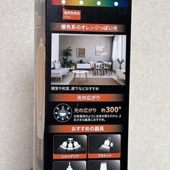 LED電球レトロ調の画像