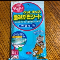 ドギーマン　わんこのでるでる自飯器／専用フード2袋／ソックス/歯磨きシートのセット！の画像