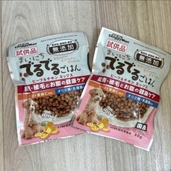 ドギーマン　わんこのでるでる自飯器／専用フード2袋／ソックス/歯磨きシートのセット！の画像