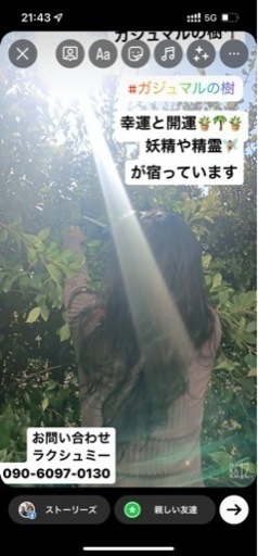 観葉植物　ガーデニング　シンボルツリー