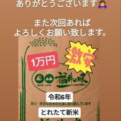 新米コシヒカリ30kg