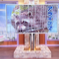 【お取り引き中】ジャンク　2018年製大型液晶テレビ　Hisen...
