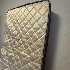 確定済みの画像