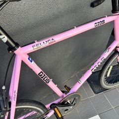 【GIOS】 2017 “FELUCA PISTA” の画像