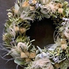 スティファ　mjaの画像