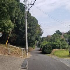 道路に面した14,901㎡、キャンプも太陽光でも貴方次第　 - 土地販売/土地売買