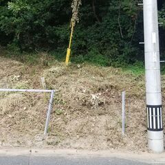 道路に面した14,901㎡、キャンプも太陽光でも貴方次第　 − 福岡県