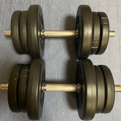 ダンベル 65kg   シャフト4本