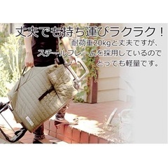 ショッピングカート ※9/20処分しますの画像